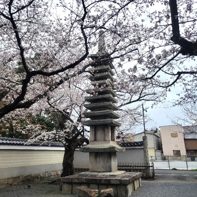 f:id:atoriatoriatori:20250410085123j:image