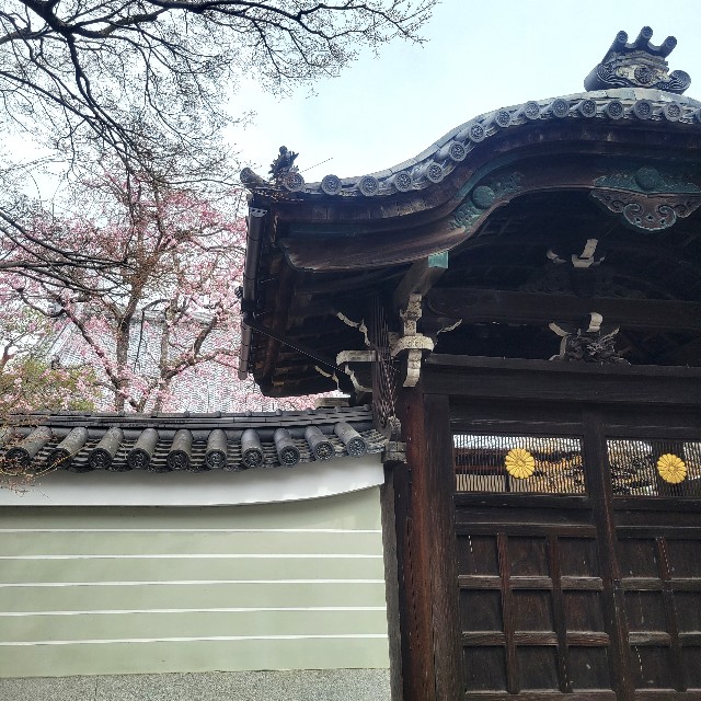 f:id:atoriatoriatori:20250410085716j:image