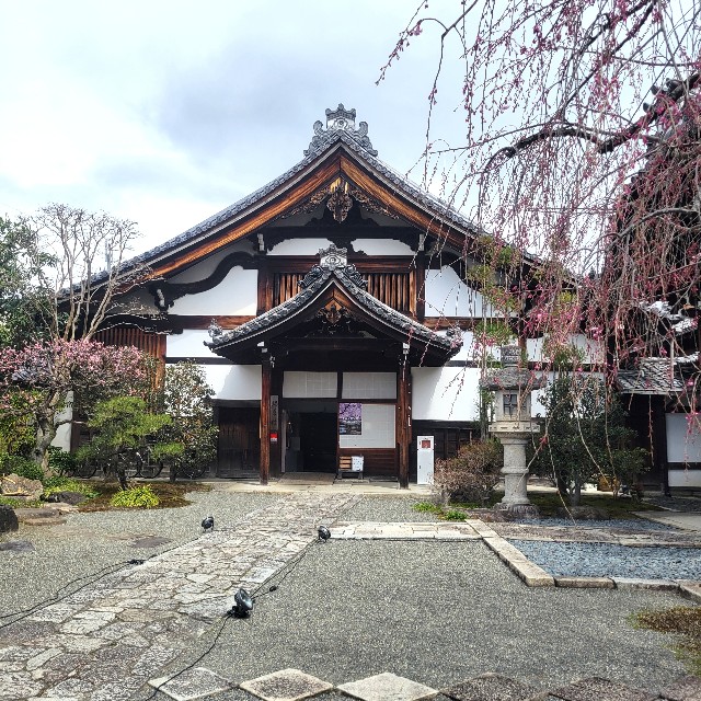 f:id:atoriatoriatori:20250410091239j:image