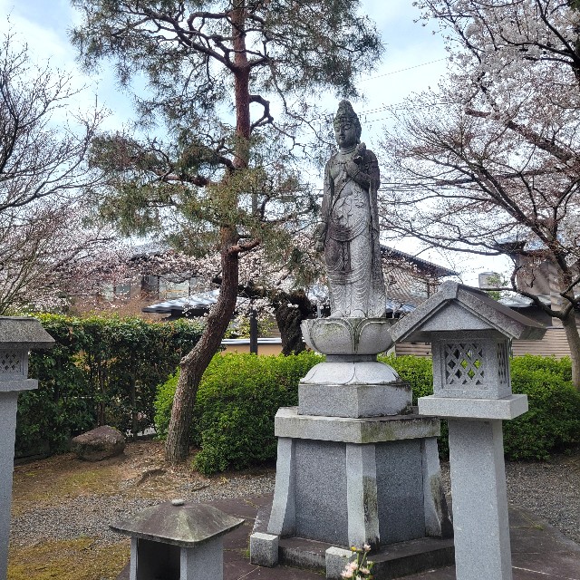 f:id:atoriatoriatori:20250410091326j:image
