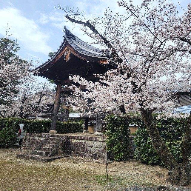 f:id:atoriatoriatori:20250410091334j:image
