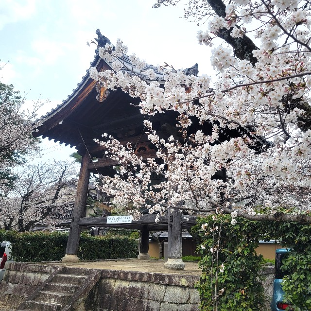 f:id:atoriatoriatori:20250410091351j:image