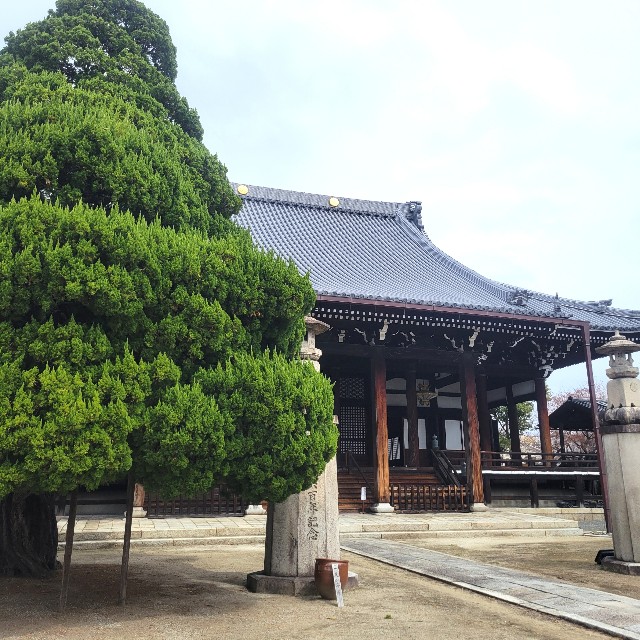 f:id:atoriatoriatori:20250410092045j:image