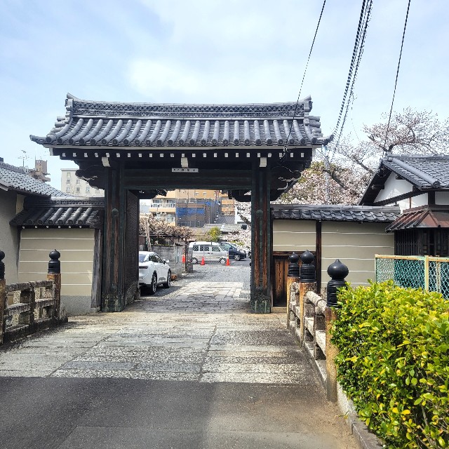 f:id:atoriatoriatori:20250410100138j:image