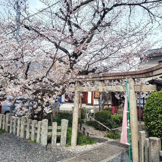 f:id:atoriatoriatori:20250410100155j:image