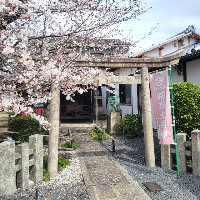 f:id:atoriatoriatori:20250410100204j:image