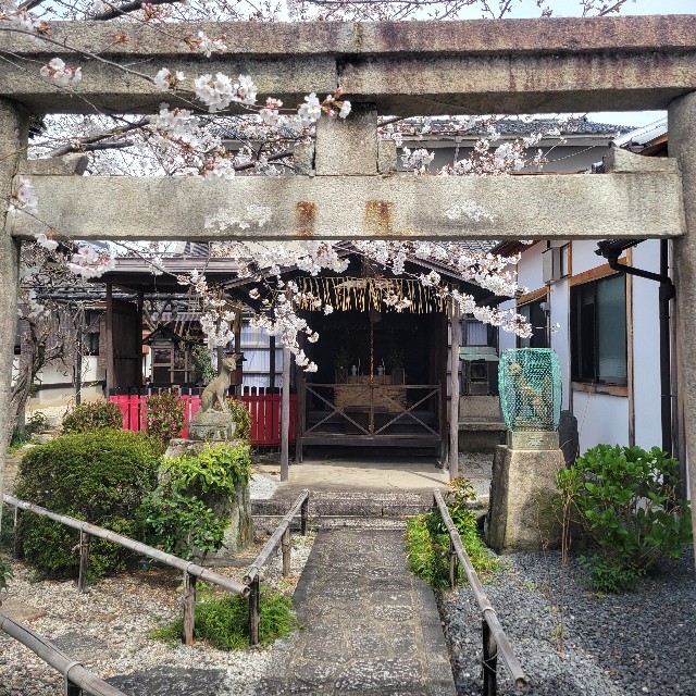 f:id:atoriatoriatori:20250410100843j:image