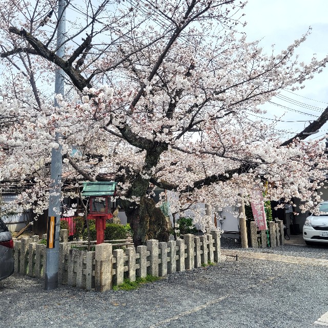 f:id:atoriatoriatori:20250410101105j:image