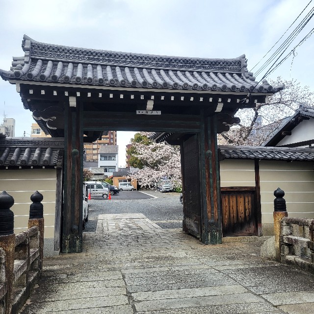f:id:atoriatoriatori:20250410101247j:image