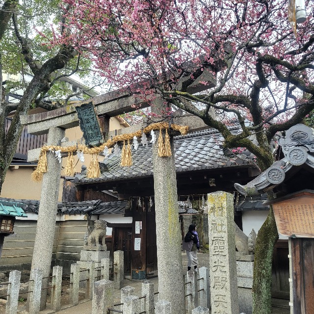 f:id:atoriatoriatori:20250410103835j:image