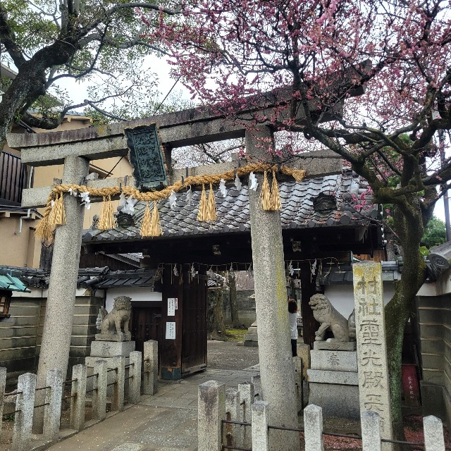 f:id:atoriatoriatori:20250410103845j:image