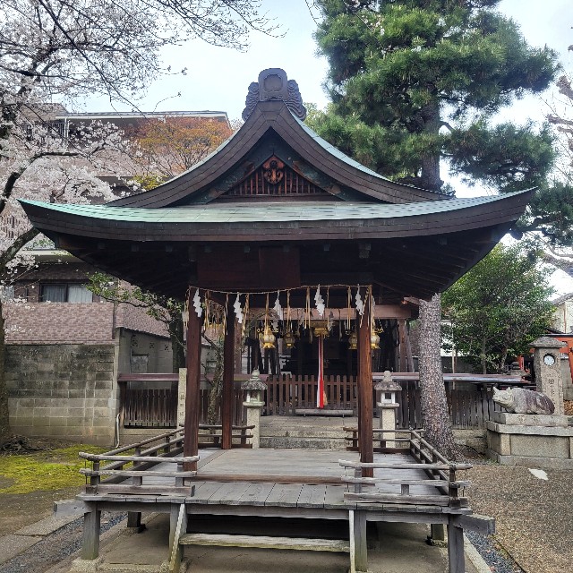 f:id:atoriatoriatori:20250410112812j:image