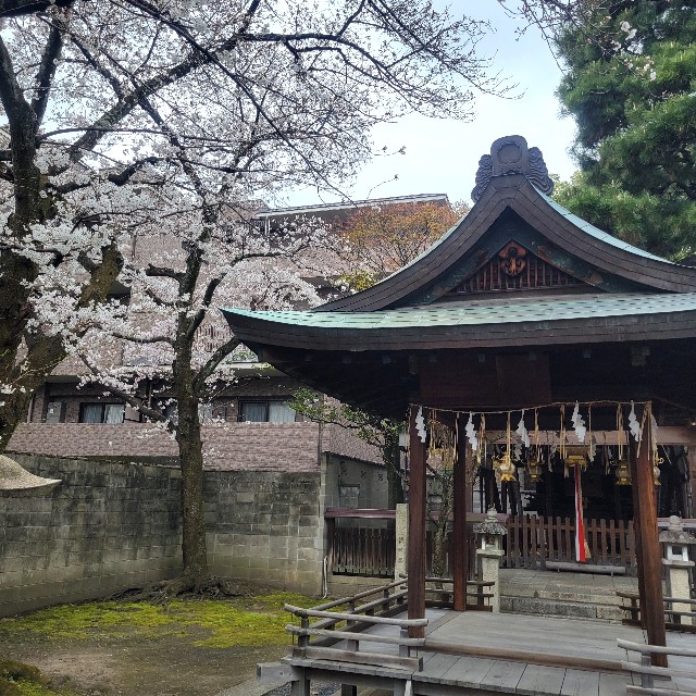f:id:atoriatoriatori:20250410112823j:image