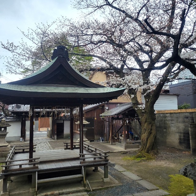 f:id:atoriatoriatori:20250410112905j:image