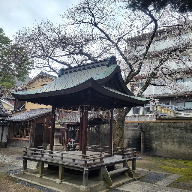 f:id:atoriatoriatori:20250410112913j:image