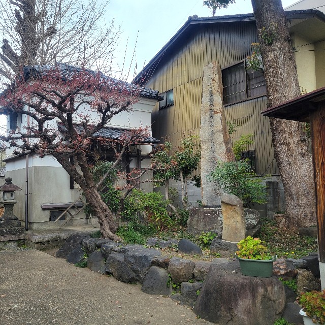 f:id:atoriatoriatori:20250410113051j:image