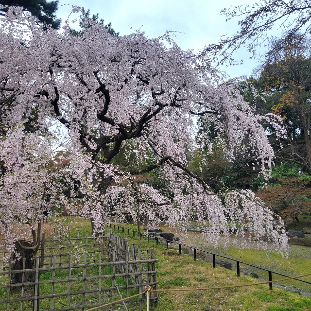 f:id:atoriatoriatori:20250411081958j:image