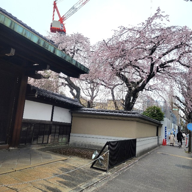 f:id:atoriatoriatori:20250411102708j:image