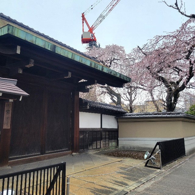 f:id:atoriatoriatori:20250411102717j:image