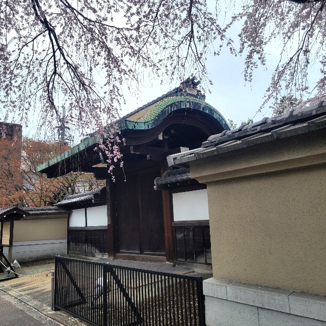 f:id:atoriatoriatori:20250411102725j:image