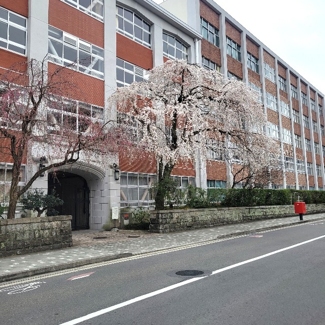 f:id:atoriatoriatori:20250411111210j:image