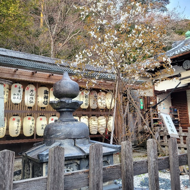 f:id:atoriatoriatori:20250411124437j:image