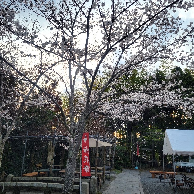 f:id:atoriatoriatori:20250411124445j:image
