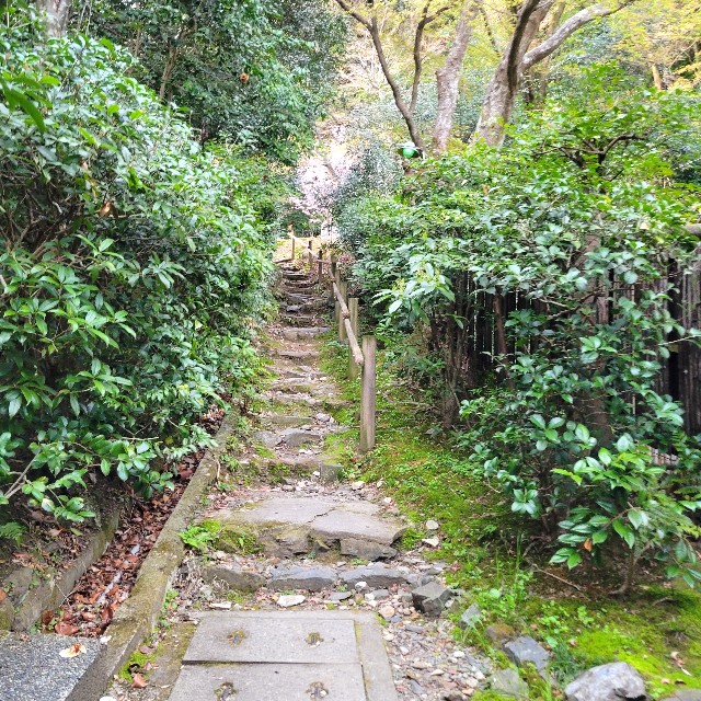 f:id:atoriatoriatori:20250411125031j:image