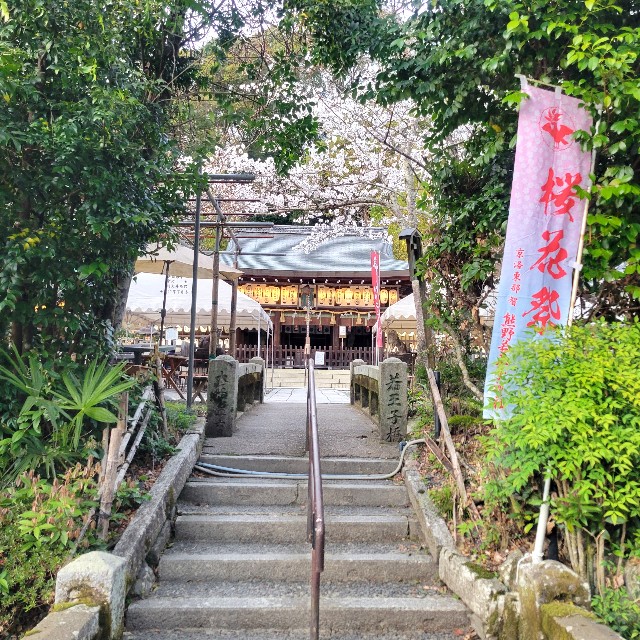 f:id:atoriatoriatori:20250411135919j:image