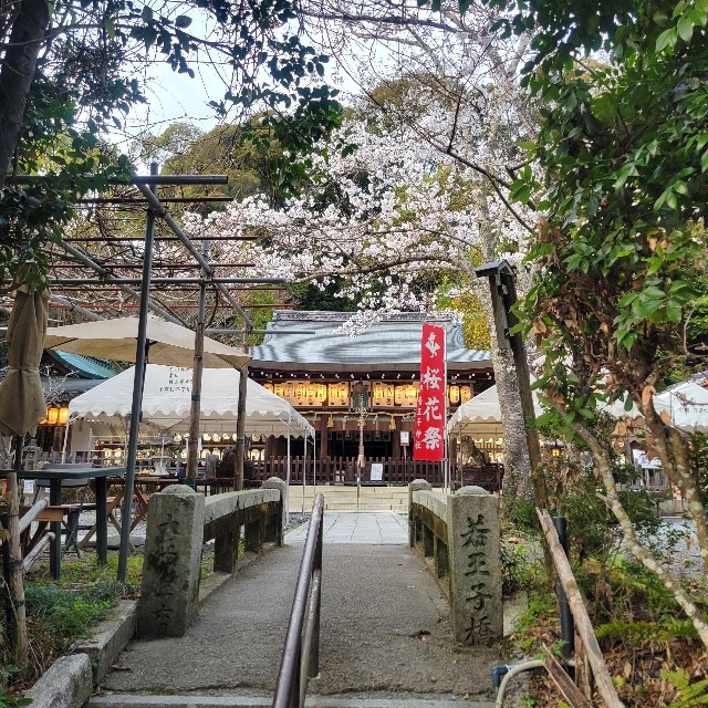 f:id:atoriatoriatori:20250411135951j:image