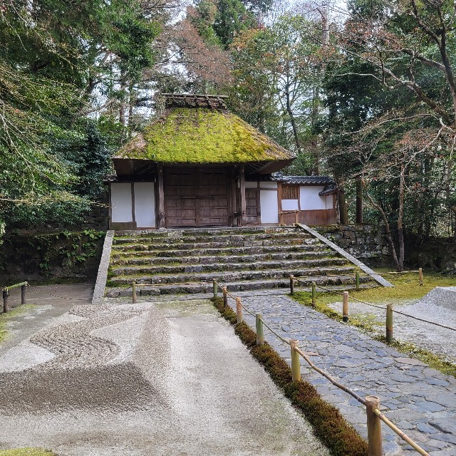 京都】『法然院』に行ってきました。 椿 - あとりのやっぱり○○が好き❤