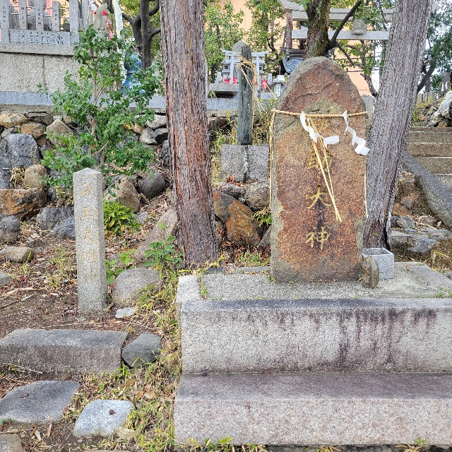 f:id:atoriatoriatori:20250423220653j:image