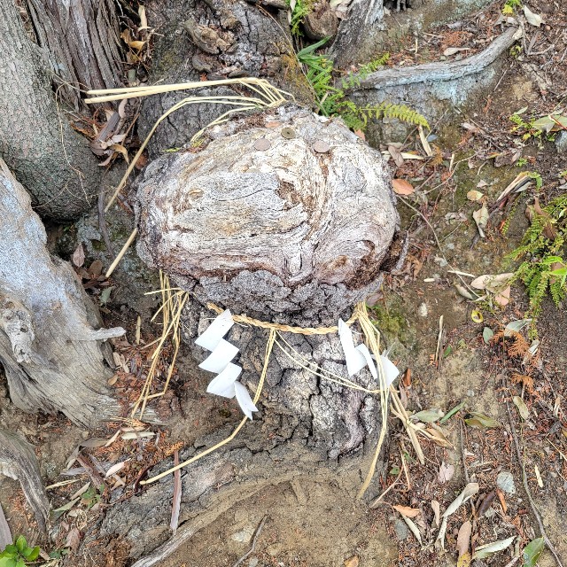 f:id:atoriatoriatori:20250424082422j:image