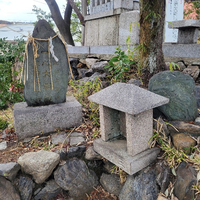 f:id:atoriatoriatori:20250424082944j:image