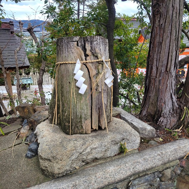 f:id:atoriatoriatori:20250424084523j:image