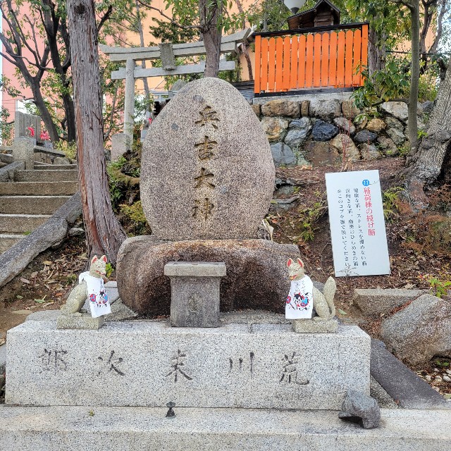 f:id:atoriatoriatori:20250424085235j:image