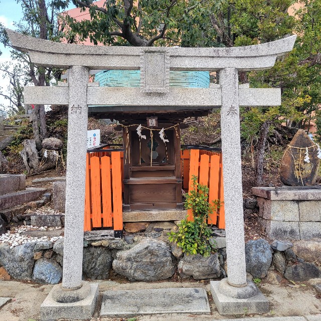 f:id:atoriatoriatori:20250424094043j:image