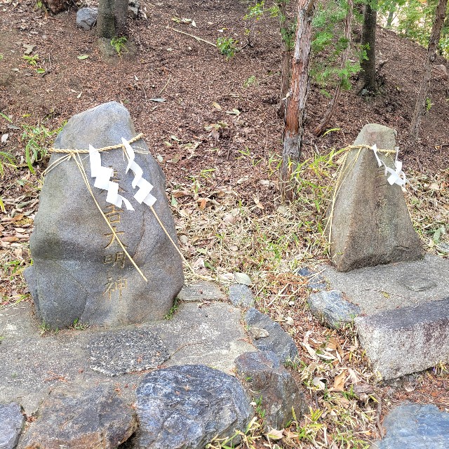 f:id:atoriatoriatori:20250424094636j:image