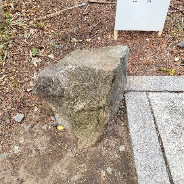 f:id:atoriatoriatori:20250424095016j:image