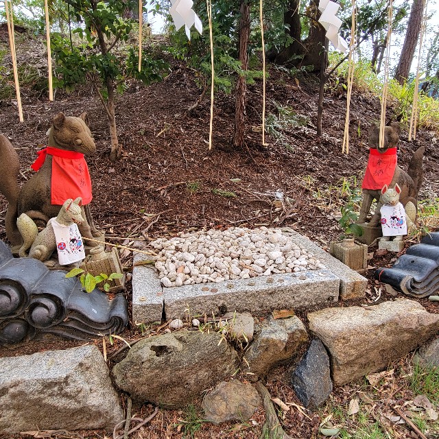 f:id:atoriatoriatori:20250424095306j:image