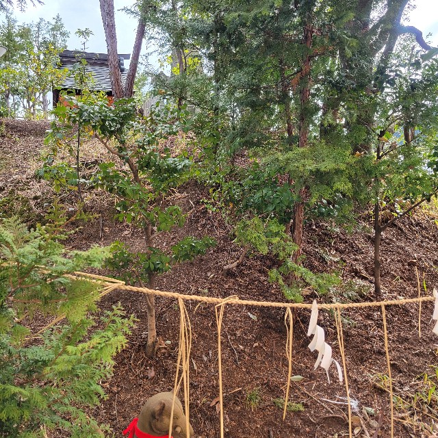 f:id:atoriatoriatori:20250424095538j:image