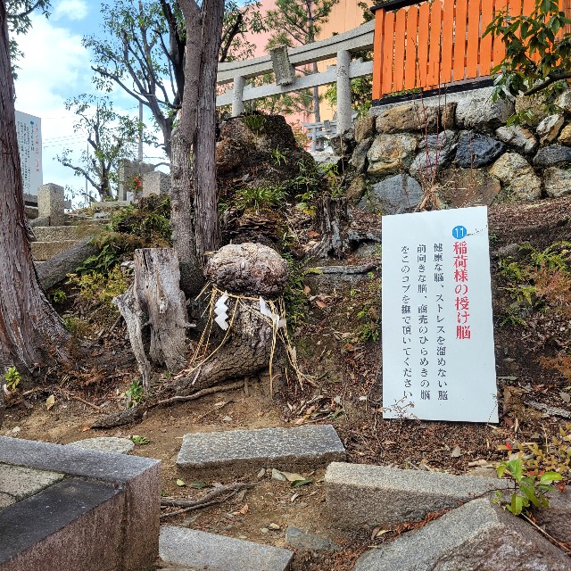 f:id:atoriatoriatori:20250424104010j:image