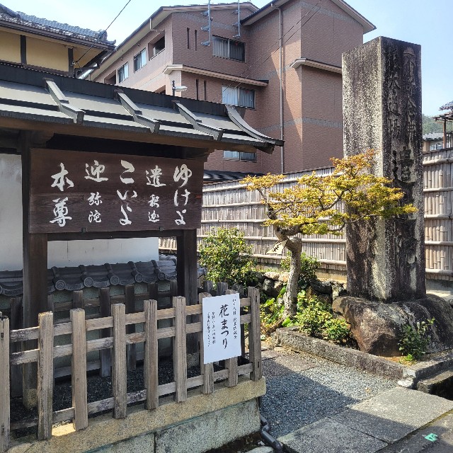 f:id:atoriatoriatori:20250429133454j:image