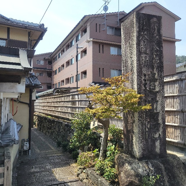 f:id:atoriatoriatori:20250429133506j:image