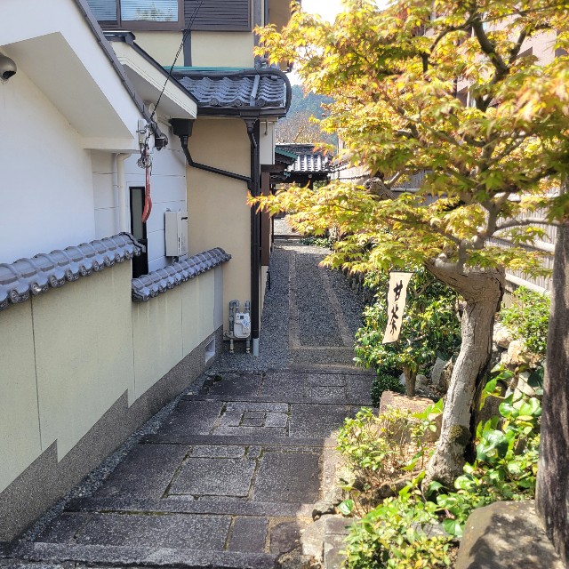 f:id:atoriatoriatori:20250429133517j:image