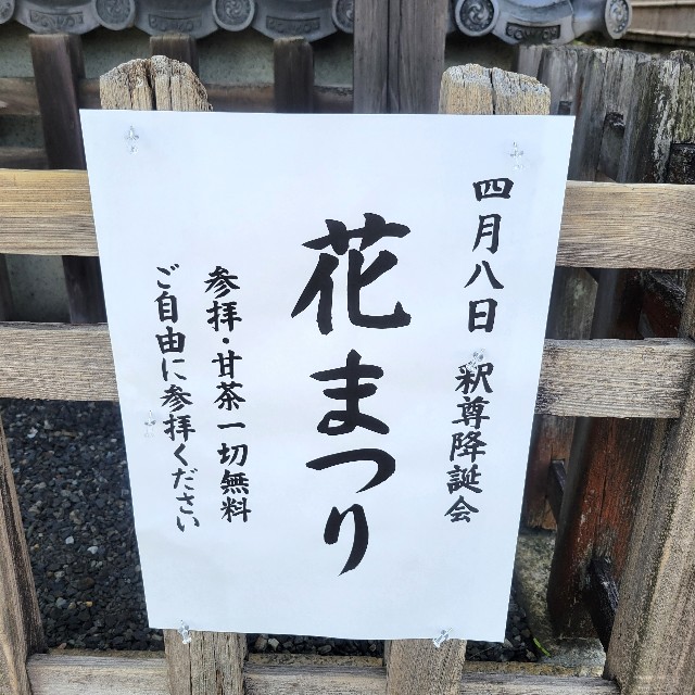 f:id:atoriatoriatori:20250429133525j:image