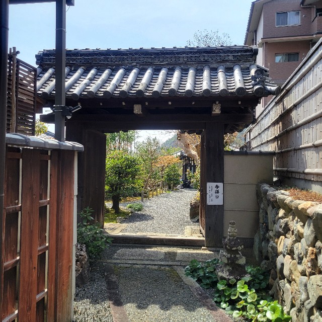 f:id:atoriatoriatori:20250429142620j:image