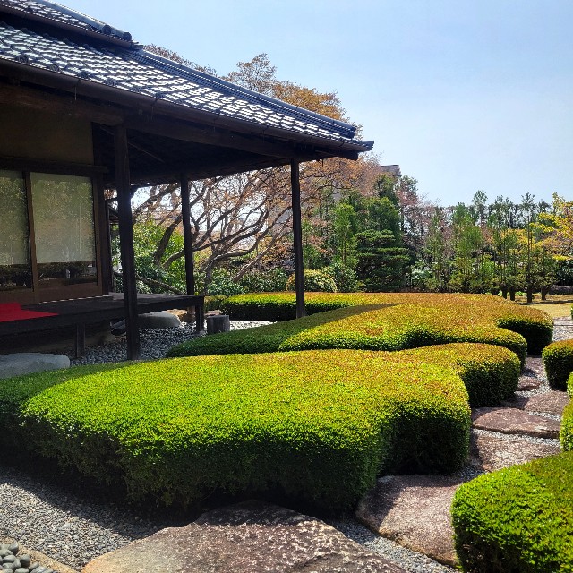 f:id:atoriatoriatori:20250429144441j:image