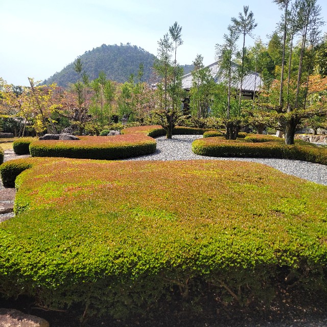 f:id:atoriatoriatori:20250429144450j:image