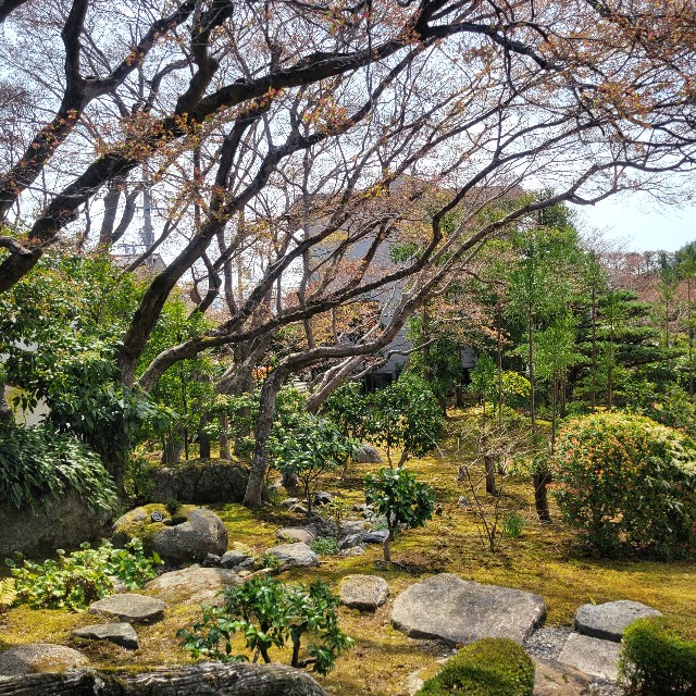 f:id:atoriatoriatori:20250429150323j:image